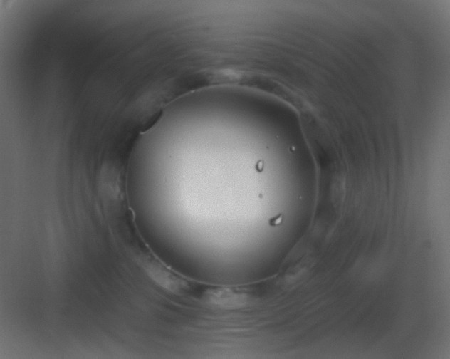 X0000083530331200702091013