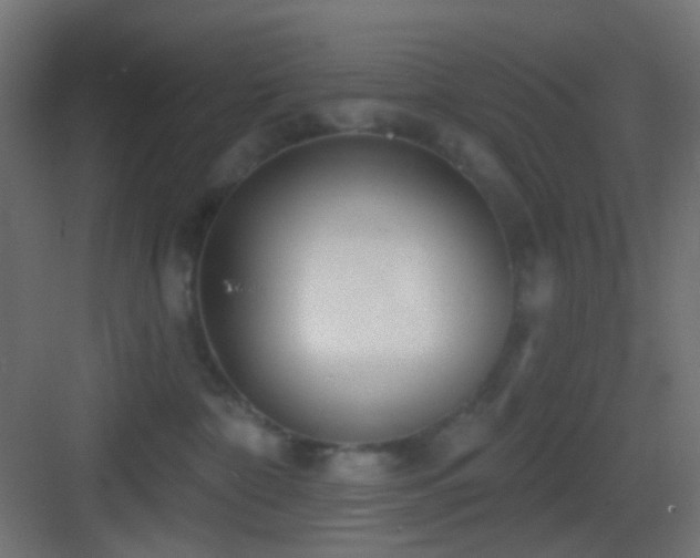 X0000083530332200702091013