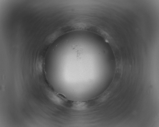 X0000083530334200702091013