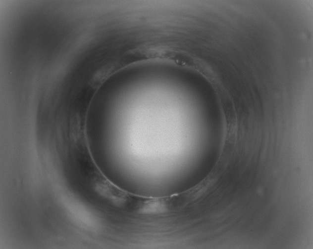 X0000083530335200702091013