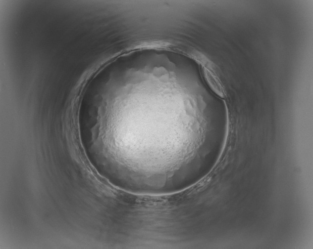 X0000083530337200702091012