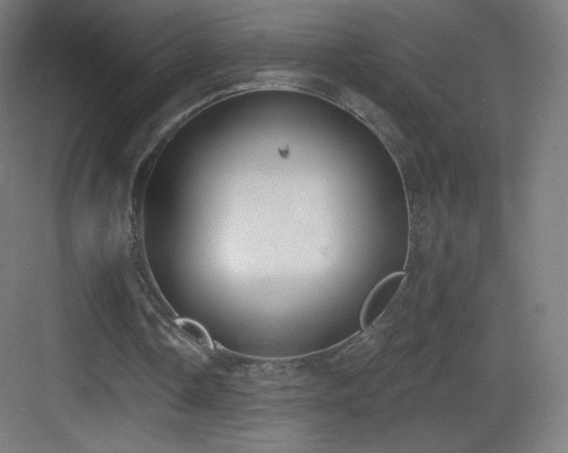 X0000083530338200702091012