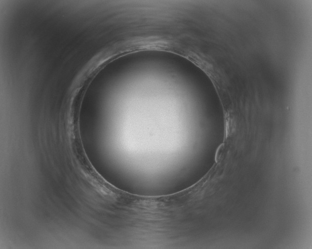 X0000083530339200702091012