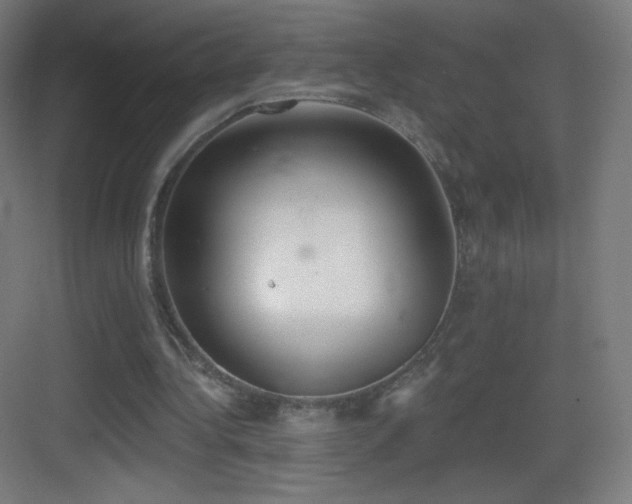 X0000083530340200702091012