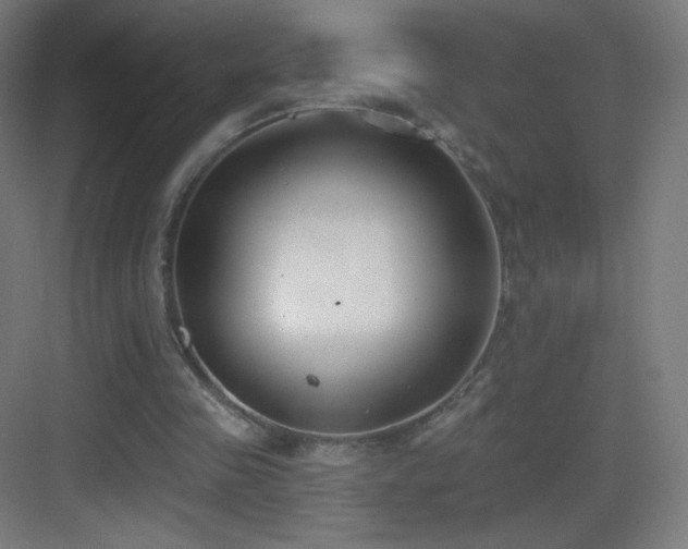 X0000083530341200702091012