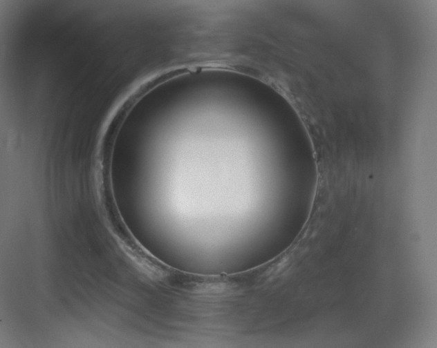 X0000083530342200702091012