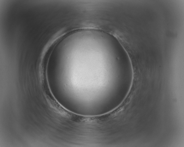 X0000083530343200702091012