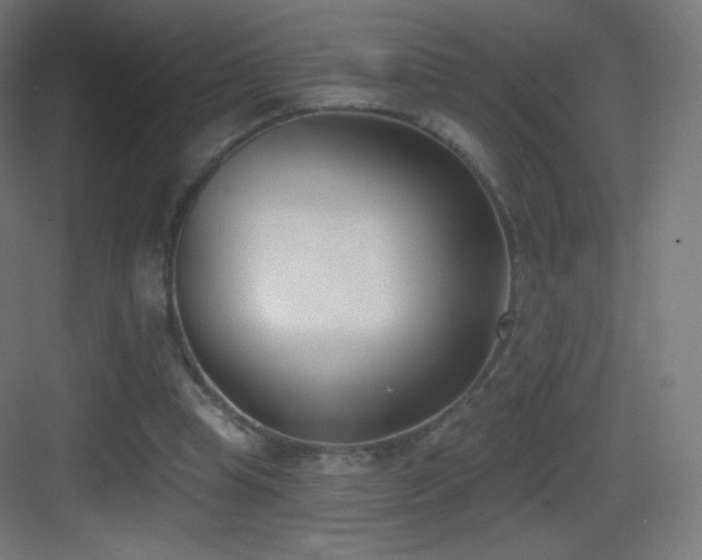 X0000083530345200702091012