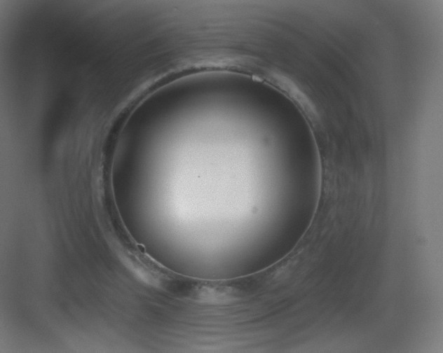 X0000083530346200702091012