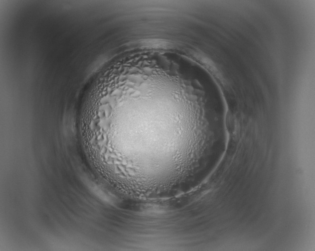 X0000083530347200702091012