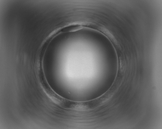 X0000083530348200702091012