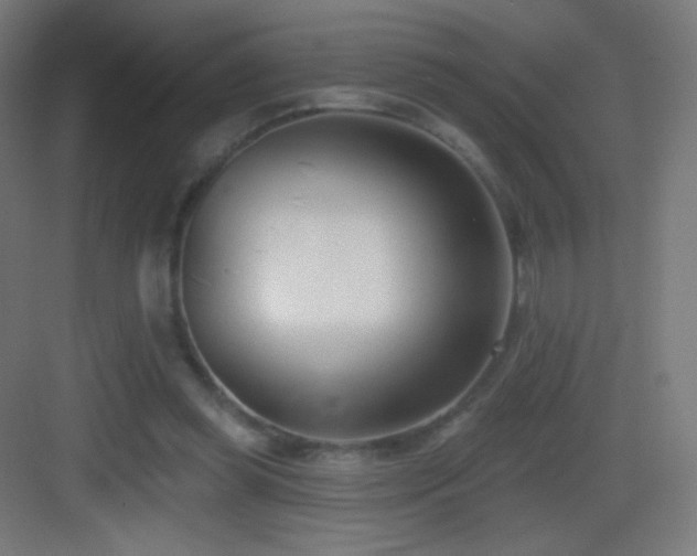 X0000083530349200702091012