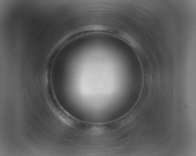 X0000083530350200702091012