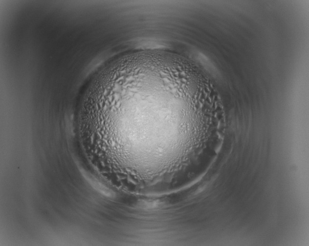 X0000083530351200702091012