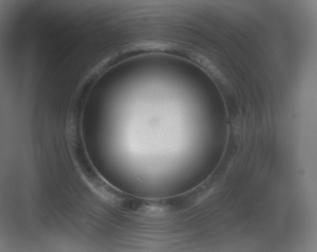 X0000083530352200702091012