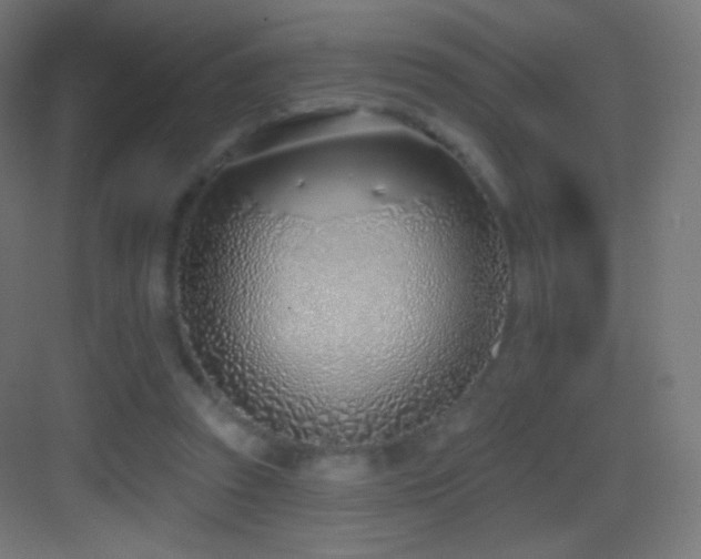 X0000083530353200702091012