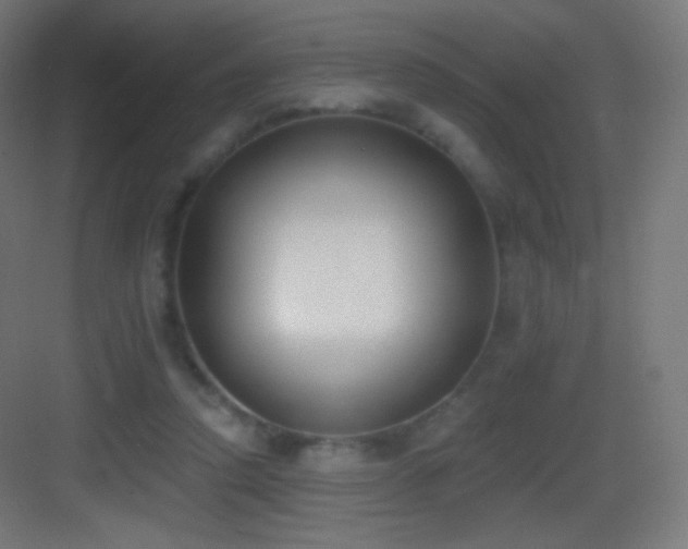 X0000083530354200702091012