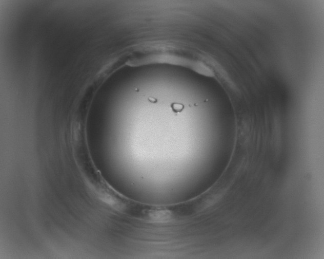 X0000083530355200702091012