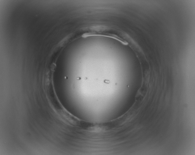 X0000083530356200702091012