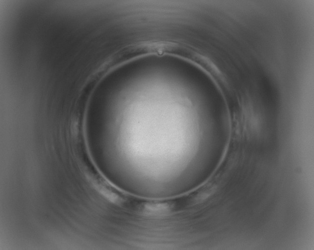 X0000083530357200702091012