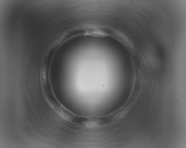 X0000083530358200702091012