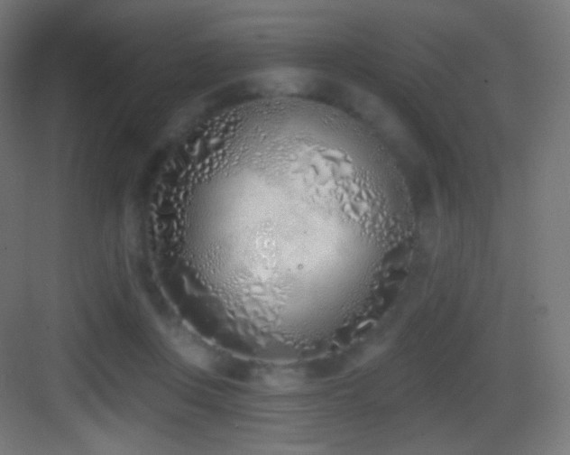 X0000083530359200702091012