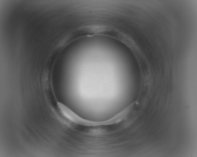 X0000083530360200702091012