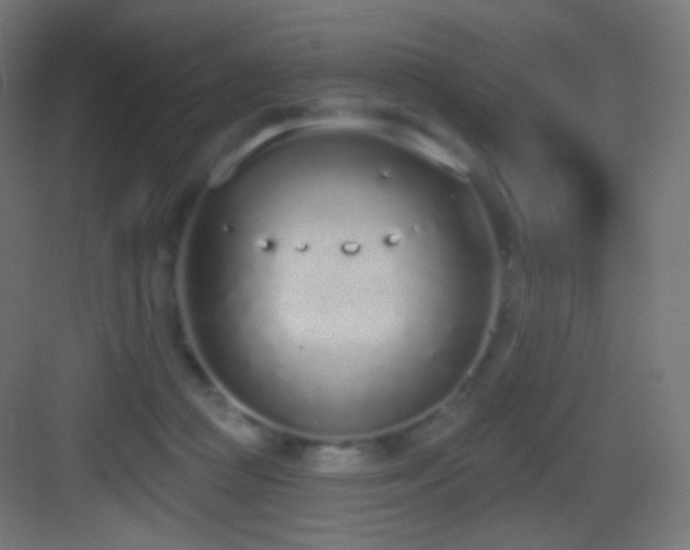 X0000083530361200702091012