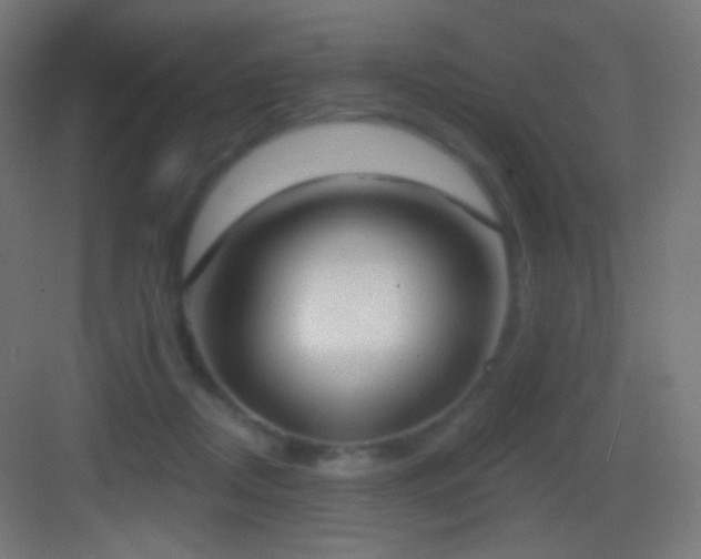 X0000083530362200702091012