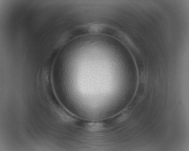 X0000083530363200702091012