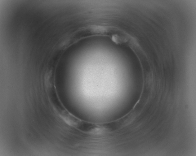 X0000083530364200702091012