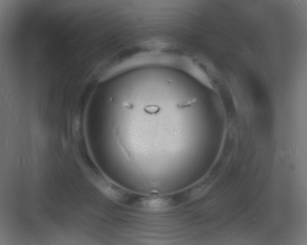 X0000083530365200702091012