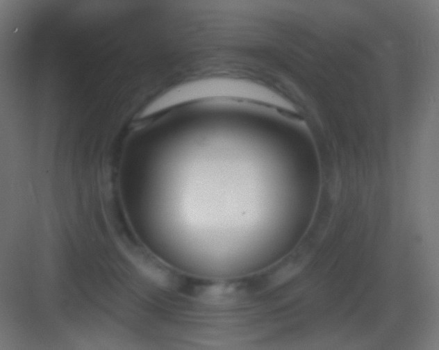 X0000083530366200702091012