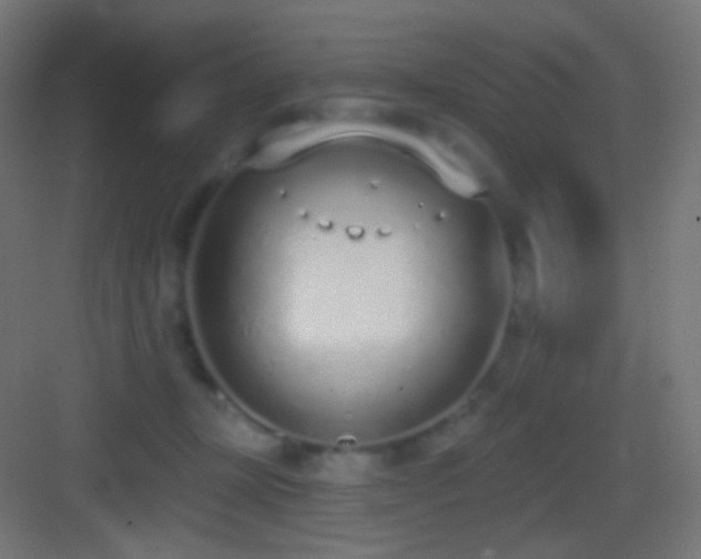 X0000083530367200702091012