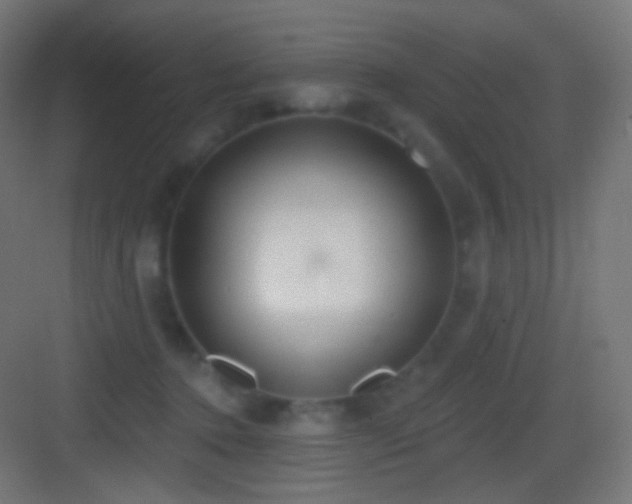 X0000083530368200702091012