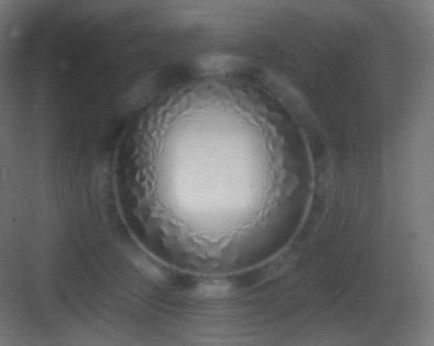 X0000083530369200702091012