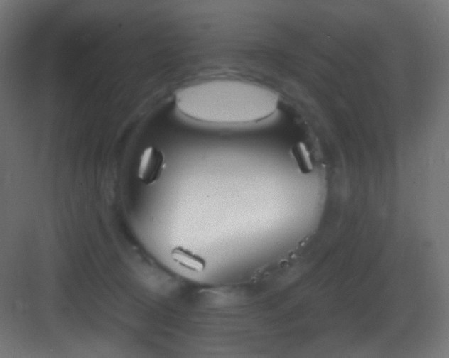 X0000083530370200702091012