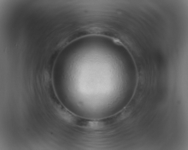 X0000083530371200702091012