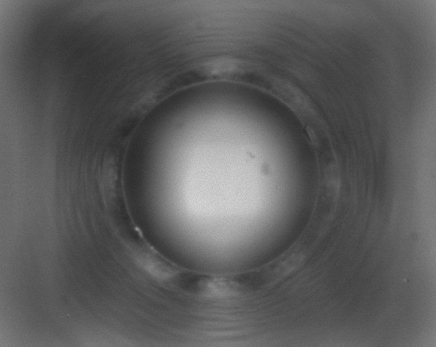 X0000083530372200702091012