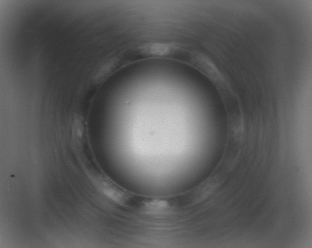 X0000083530374200702091012