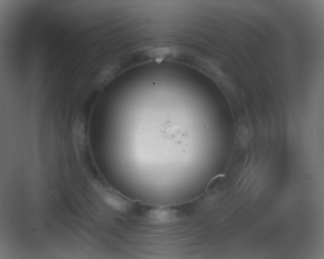 X0000083530375200702091012