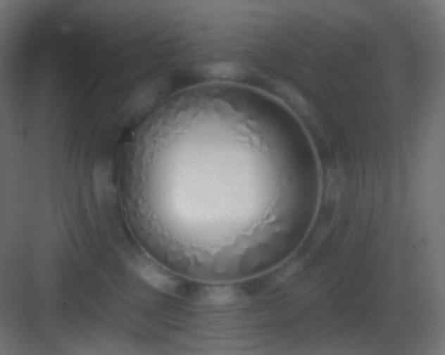 X0000083530377200702091012