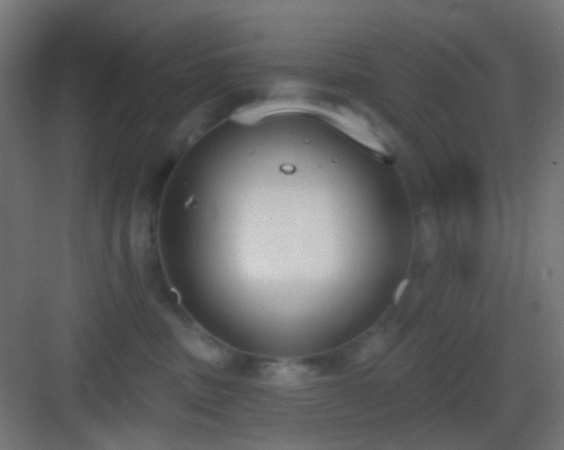 X0000083530379200702091012