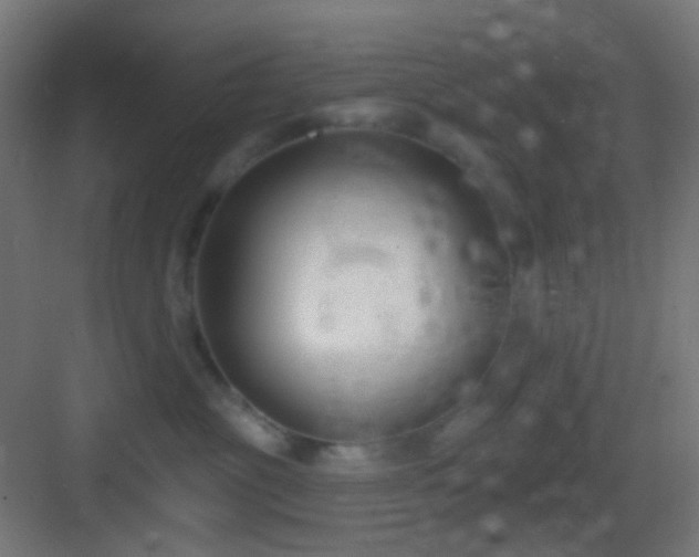 X0000083530381200702091013