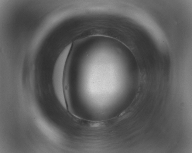 X0000083530382200702091013