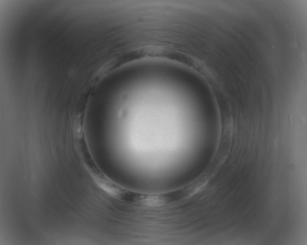 X0000083530383200702091013