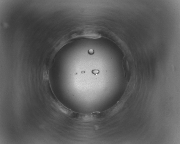 X0000083530384200702091013