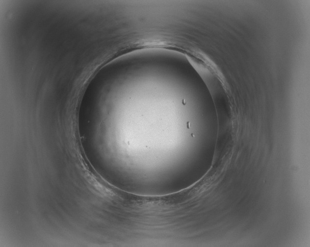 X0000083530385200702091012