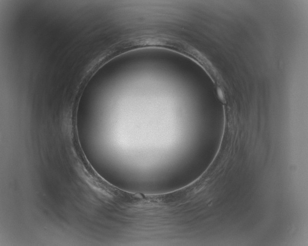 X0000083530386200702091012