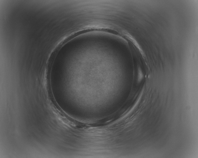 X0000083530387200702091012